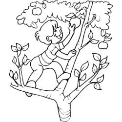 Página para colorir: árvore de maçã (Natureza) #163444 - Páginas para Colorir Imprimíveis Gratuitamente