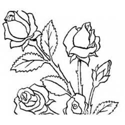 Página para colorir: Buquê de flores (Natureza) #160747 - Páginas para Colorir Imprimíveis Gratuitamente