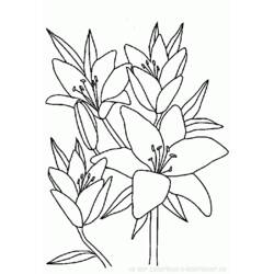 Página para colorir: Buquê de flores (Natureza) #160788 - Páginas para Colorir Imprimíveis Gratuitamente