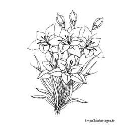 Página para colorir: Buquê de flores (Natureza) #160865 - Páginas para Colorir Imprimíveis Gratuitamente