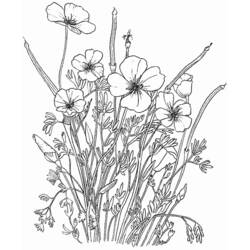 Página para colorir: Buquê de flores (Natureza) #160928 - Páginas para Colorir Imprimíveis Gratuitamente