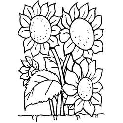 Página para colorir: Buquê de flores (Natureza) #160964 - Páginas para Colorir Imprimíveis Gratuitamente