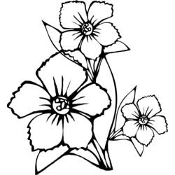 Página para colorir: Buquê de flores (Natureza) #161003 - Páginas para Colorir Imprimíveis Gratuitamente