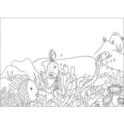 Página para colorir: Coral (Natureza) #162795 - Páginas para Colorir Imprimíveis Gratuitamente