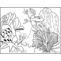 Página para colorir: Coral (Natureza) #162899 - Páginas para Colorir Imprimíveis Gratuitamente