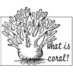 Página para colorir: Coral (Natureza) #162907 - Páginas para Colorir Imprimíveis Gratuitamente