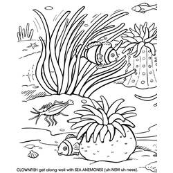 Página para colorir: Coral (Natureza) #162920 - Páginas para Colorir Imprimíveis Gratuitamente