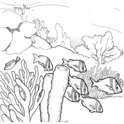 Página para colorir: Coral (Natureza) #162958 - Páginas para Colorir Imprimíveis Gratuitamente