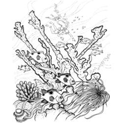 Página para colorir: Coral (Natureza) #163012 - Páginas para Colorir Imprimíveis Gratuitamente