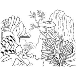 Página para colorir: Coral (Natureza) #163034 - Páginas para Colorir Imprimíveis Gratuitamente