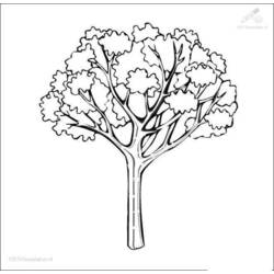 Página para colorir: Estação do outono (Natureza) #164163 - Páginas para Colorir Imprimíveis Gratuitamente