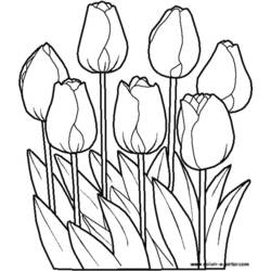 Página para colorir: flores (Natureza) #154985 - Páginas para Colorir Imprimíveis Gratuitamente