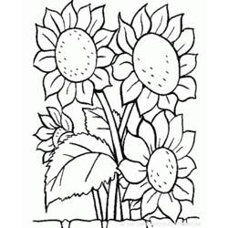 Página para colorir: flores (Natureza) #155000 - Páginas para Colorir Imprimíveis Gratuitamente