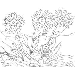 Página para colorir: flores (Natureza) #155116 - Páginas para Colorir Imprimíveis Gratuitamente
