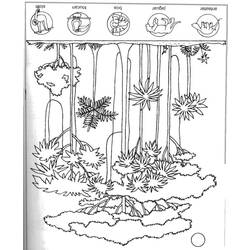 Página para colorir: Floresta (Natureza) #157251 - Páginas para Colorir Imprimíveis Gratuitamente