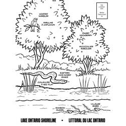 Página para colorir: Lago (Natureza) #166147 - Páginas para Colorir Imprimíveis Gratuitamente