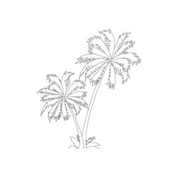 Página para colorir: Palma (Natureza) #161122 - Páginas para Colorir Imprimíveis Gratuitamente