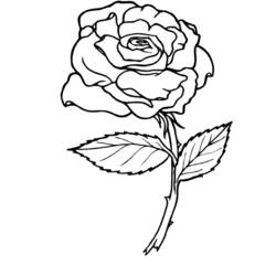 Página para colorir: rosas (Natureza) #161864 - Páginas para Colorir Imprimíveis Gratuitamente