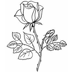 Página para colorir: rosas (Natureza) #161867 - Páginas para Colorir Imprimíveis Gratuitamente