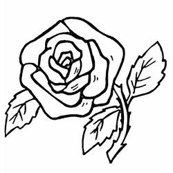 Página para colorir: rosas (Natureza) #161870 - Páginas para Colorir Imprimíveis Gratuitamente