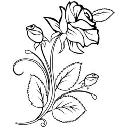 Página para colorir: rosas (Natureza) #161874 - Páginas para Colorir Imprimíveis Gratuitamente