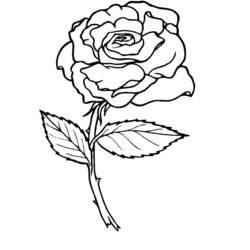 Página para colorir: rosas (Natureza) #161884 - Páginas para Colorir Imprimíveis Gratuitamente