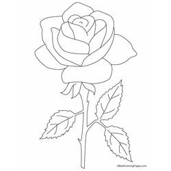 Página para colorir: rosas (Natureza) #161893 - Páginas para Colorir Imprimíveis Gratuitamente