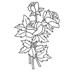Página para colorir: rosas (Natureza) #161895 - Páginas para Colorir Imprimíveis Gratuitamente