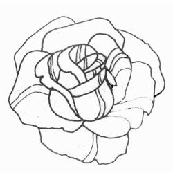 Página para colorir: rosas (Natureza) #161898 - Páginas para Colorir Imprimíveis Gratuitamente