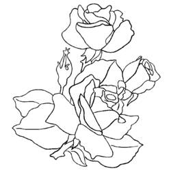 Página para colorir: rosas (Natureza) #161908 - Páginas para Colorir Imprimíveis Gratuitamente