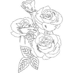 Página para colorir: rosas (Natureza) #161910 - Páginas para Colorir Imprimíveis Gratuitamente