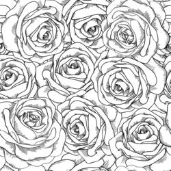 Página para colorir: rosas (Natureza) #161911 - Páginas para Colorir Imprimíveis Gratuitamente