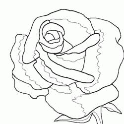 Página para colorir: rosas (Natureza) #161912 - Páginas para Colorir Imprimíveis Gratuitamente