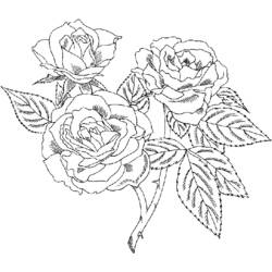 Página para colorir: rosas (Natureza) #161913 - Páginas para Colorir Imprimíveis Gratuitamente