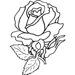 Página para colorir: rosas (Natureza) #161922 - Páginas para Colorir Imprimíveis Gratuitamente