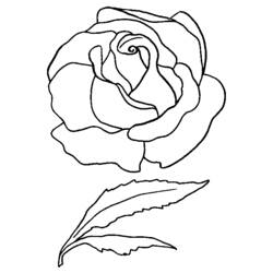 Página para colorir: rosas (Natureza) #161931 - Páginas para Colorir Imprimíveis Gratuitamente