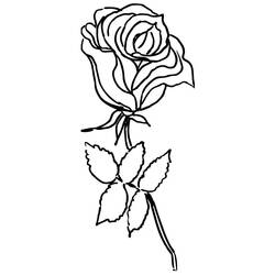 Página para colorir: rosas (Natureza) #161935 - Páginas para Colorir Imprimíveis Gratuitamente