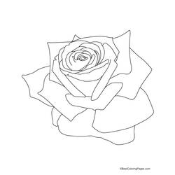 Página para colorir: rosas (Natureza) #161938 - Páginas para Colorir Imprimíveis Gratuitamente