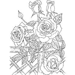 Página para colorir: rosas (Natureza) #161944 - Páginas para Colorir Imprimíveis Gratuitamente