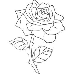 Página para colorir: rosas (Natureza) #161971 - Páginas para Colorir Imprimíveis Gratuitamente
