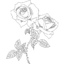 Página para colorir: rosas (Natureza) #161977 - Páginas para Colorir Imprimíveis Gratuitamente