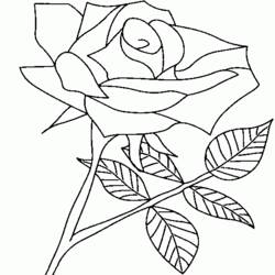 Página para colorir: rosas (Natureza) #161982 - Páginas para Colorir Imprimíveis Gratuitamente