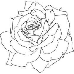 Página para colorir: rosas (Natureza) #161983 - Páginas para Colorir Imprimíveis Gratuitamente