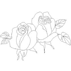 Página para colorir: rosas (Natureza) #161988 - Páginas para Colorir Imprimíveis Gratuitamente