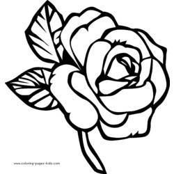 Página para colorir: rosas (Natureza) #162017 - Páginas para Colorir Imprimíveis Gratuitamente
