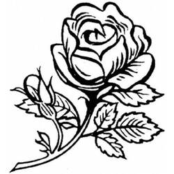 Página para colorir: rosas (Natureza) #162020 - Páginas para Colorir Imprimíveis Gratuitamente