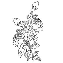 Página para colorir: rosas (Natureza) #162066 - Páginas para Colorir Imprimíveis Gratuitamente