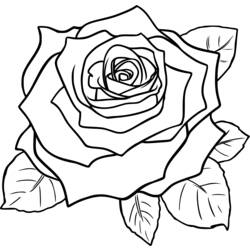 Página para colorir: rosas (Natureza) #162072 - Páginas para Colorir Imprimíveis Gratuitamente