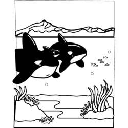 Página para colorir: Solo oceânico (Natureza) #160214 - Páginas para Colorir Imprimíveis Gratuitamente