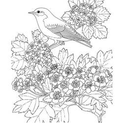 Página para colorir: Temporada de primavera (Natureza) #165058 - Páginas para Colorir Imprimíveis Gratuitamente